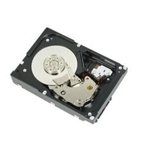 DELL 300GB 6G HDD